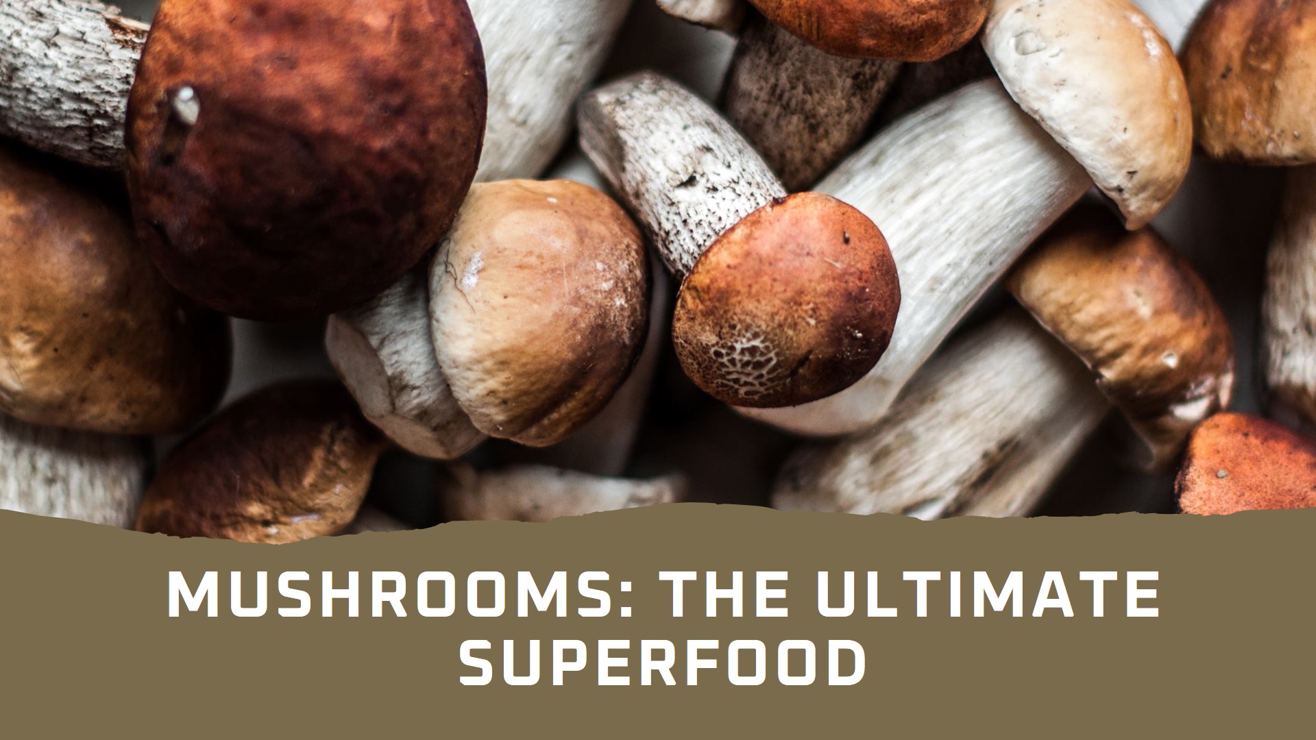 Mushrooms, Among the Most Healthiest Veg Foods to Eat, are a Nutrient-Rich Superfood with Immune and Bone Health Benefits